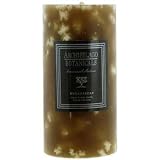 Archipelago Botanicals 2.5 x 5 Pillar Candle: Madagascar - B000FSIR1Q