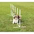 PetSafe Agility Weave Poles