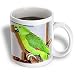 Birds - Yellow Nape Parrot - Mugs