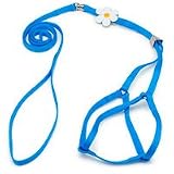 Lil Pals Daisy Harness