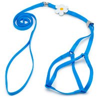 Lil Pals Daisy Harness