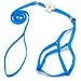 Lil Pals Daisy Harness Lead / Harness - Light Blue