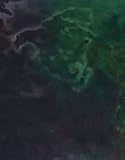 The map paintings : 1967-1971