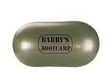 Barrys Bootcamp Transformer Ball