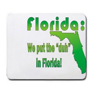 Florida: We Put The In Florida! Mousepad