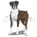 Boxer Wipe Your Paws Towel