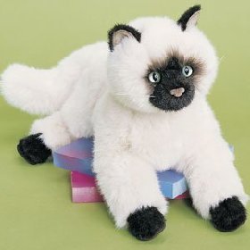 Plush Tasha Himalayan Cat 16 by Douglas Cuddle Toys