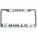 USF Chrome License Frame