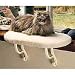 american shorthair - Thermo Kitty Sill Perch 14 x 24 inches