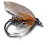 Leadwing Coachman Wet Fly Fly Fishing Fly