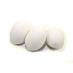 White Ceramic Chicken Egg