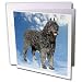 Dogs Bouvier - Bouvier Des Flandres - Greeting Cards-12 Greeting Cards with envelopes