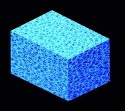 Cobalt International ACI12004 Fontana 2300-3000 Prefilter Sponge for Aquarium