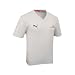 Red Bull Puma 08 Tour T-Shirt Grey