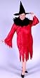 Wild Witchy Woman Costume and Hat in Plus Size