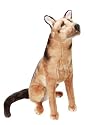 Melissa & Doug Deluxe Plush German Shepherd