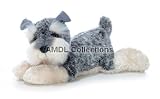 Wildlife / Domestic Animals : Ludwig the Schnauzer Dog 12