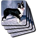 Dogs Border Collie - Border Collie - Coasters