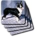 Dogs Border Collie - Border Collie - Coasters
