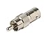 Valley Enterprises BNC Female Jack to RCA Male Plug Coax Cable Adapters Pack of 10