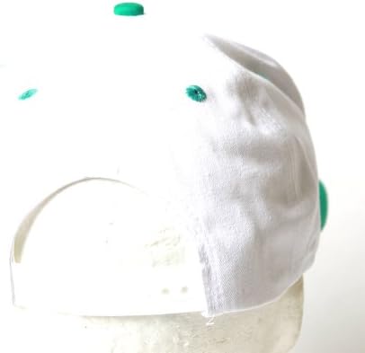 Vancouver Grizzlies Throwback White Teal Snapback Hat + GT Sweat Wristband
