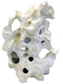 Texas Holey Rock Large 12"