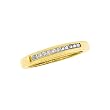 14K Yellow Gold 1/4 ct. Princess Cut Diamond Anniversary Band