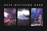 Dave Matthews Band (In Concert) Music Poster Print - 24 X 36