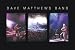 Search : Dave Matthews Band (In Concert) Music Poster Print - 24' X 36'