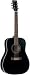 Acoustic Guitars