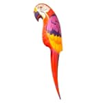 Perroquet gonflable de pirate