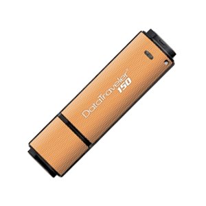 Childrens Toyshop  PC Hardware : Kingston Technology DT150/32GB DataTraveler 150 32GB USB Flash Drive (Orange)