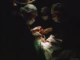 Surgeons Conduct a Kidney Transplant Photographic Poster Print by Jodi Cobb, 24x18