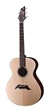 Breedlove American Series C20 SM Acoustic Guitar