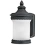 Thomas Lighting SL9158-7 Regent - One Light Outdoor Wall Fixture, Matte Black Finish with Etched Seedy Glass