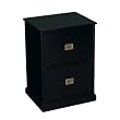 Coastline 2-Drawer File - Black