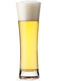 SCHOTT ZWIESEL (ショット ツヴィーゼル) ヴァイツェンビアグラス(S) 450cc トリタンクリスタル(食器洗浄機OK) ZW8710-115270TP
