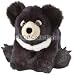 Wildlife / Domestic Animals : Sloth Bear 12