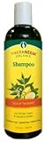 Thera Neem Scalp Therapy SHAMPOO for All Hair Types & Sensitive Scalps, 12 oz