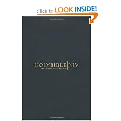 NIV Popular Bible: New International Version (Bible Niv)