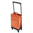 Swany Fortuno Walkin Bag