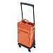 Swany Fortuno Walkin Bag