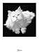 Le Chat - Pierre-anthony Allard Art Print Poster 24 x 32