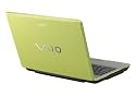 Sony VAIO VGN-C291NW/G 13.3" Laptop (Intel Core 2 Duo Processor T5500, 2 GB RAM, 160 GB Hard Drive, DVD&iquest;RW Drive, Vista Business) Green