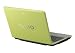 Sony VAIO VGN-C291NW/G 13.3" Laptop (Intel Core 2 Duo Processor T5500, 2 GB RAM, 160 GB Hard Drive, DVD&iquest;RW Drive, Vista Business) Green