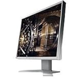 Eizo S1961SH-GY 48,3 cm (19 Zoll) TFT LCD-Monitor analog/digital DVI-D (Kontrast 1500:1, 20ms Reaktionszeit) grau