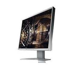 Eizo S1961SH-GY 48,3 cm (19 Zoll) TFT LCD-Monitor analog/digital DVI-D (Kontrast 1500:1, 20ms Reaktionszeit) grau