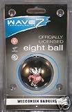 University of Wisconsin Badgers Billiard Eight Ball 8 Ball