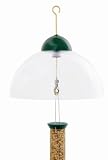 Droll Yankees Squirrel Guard Green Feeder - B0006U34O8