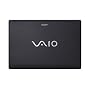 Sony VAIO VGN-FW510F/B 16.4-Inch Black Laptop (Windows 7 Home Premium)